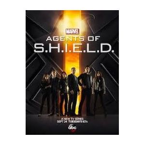 Agents Of S.H.I.E.L.D. - Seizoen 1 DVD niet Nederland ondertiteld