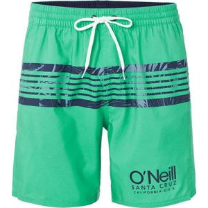 O'Neill - XL - PM CALI STRIPE SHORTS