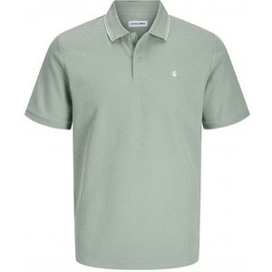 Jack & Jones Jack&Jones Jjeaustin Polo Ss Iceberg Green GROEN S