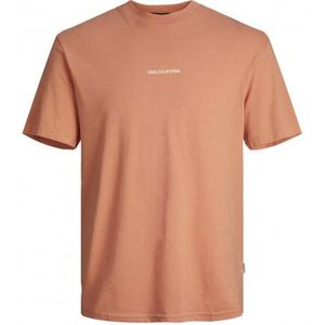 Jack Jones Aruba Landscape Tee SS Crew Neck Canyon Sunset ORANJE