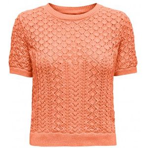 Only Onlsaga Life Ss O-Neck Melon ORANJE XL