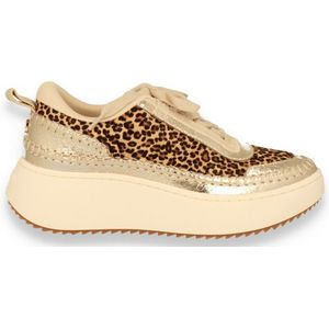 Steve MaddenDames Sneaker Doubletake Glam/Leop LEOPARD 40