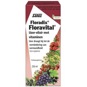 Salus Floradix Floravital IJzer-elixir - Gratis thuisbezorgd
