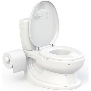 Dolu Educational Potty