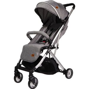 Ding Vivo Grey/Silver Wandelwagen