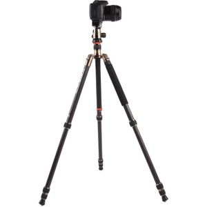 Triopo GT-2504X8.C Adjustable Portable Carbon Fiber Tripod (Gold) with B-1 Aluminum Ball Head (Black) for Canon Nikon Sony DSLR Camera