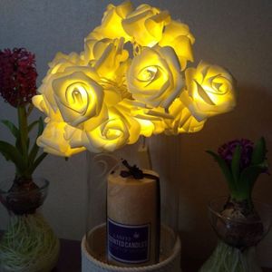 3m Rose Shape USB Plug Romantic LED String Holiday Light  20 LEDs Teenage Style Warm Fairy Decorative Lamp for Christmas  Wedding  Bedroom(Warm White)