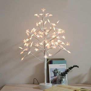 60cm Christmas Decoration Luminous LED Lantern Garden Landscape Tree Light(Star)