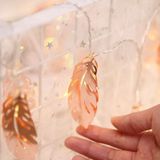 3m Gold Feather USB Plug Romantic LED String Holiday Light  20 LEDs Teenage Style Warm Fairy Decorative Lamp for Christmas  Wedding  Bedroom (Warm White)