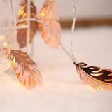 3m Gold Feather USB Plug Romantic LED String Holiday Light  20 LEDs Teenage Style Warm Fairy Decorative Lamp for Christmas  Wedding  Bedroom (Warm White)