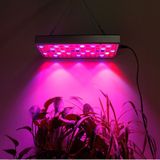 25W 75LEDs Full Spectrum Plant Lighting Fitolampy For Plants Flowers Seedling Cultivation Growing Lamps LED Grow Light  AC85-265V EU