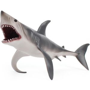 Kinderen Science Education Cognition Simulation Ocean Wild Ancient Animal Model Megalodon