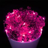 10m 12V 6W 500LM LED Silver Wire String Light  SMD-0603 Festival Lamp / Decoration Light Strip(Pink Light)