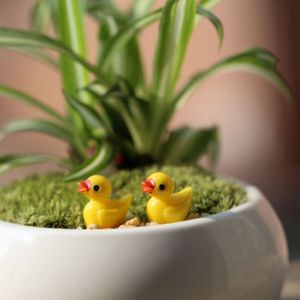 5 PCS Mini Doll House Accessories Resin Three-dimensional Small Yellow Duck Plant Decoration