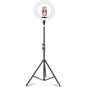 14 inch+Phone Clip Dimmable Color Temperature LED Ring Fill Light Live Broadcast Set With 2.1m Tripod Mount  CN Plug