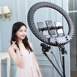 HQ-21N 21 inch 52.5cm LED Ring Vlogging Photography Video Lights Kits with Remote Control & Phone Clamp & 2.1m Tripod Mount  EU Plug