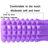 3 In 1 Indoor Multifunctional Yoga Foam Roller + Push-Up Holder + Pull Rope Fitness Equipment Set(Purple)