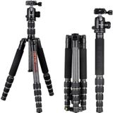 BEXIN BX285C K36 Portable Carbon Fiber Tripod for Dslr Digital DV Camcorder