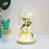 Simulation Roses Lights Glass Cover Decorations Crafts Valentines Day Gifts(White)