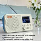 C10 2.4 inch Portable Color LCD FM / DAB Digital Radio  Support BT & TF Card (White)