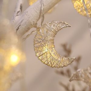 3m Hollow Moon USB Plug Romantic LED String Holiday Light  20 LEDs Teenage Style Warm Fairy Decorative Lamp for Christmas  Wedding  Bedroom (Warm White)