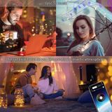 RGB USB LED Copper Wire Light String Holiday Decoration Light String Bluetooth Mobile APP Control  Lengte:5m 50 LED