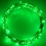 10m 5V 6W 500LM LED Silver String Light  Green Light  USB Powered SMD-0603 Festival Lamp / Decoration Light Strip