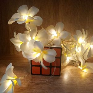 1.5m 10 LEDs Battery Powered Warm White Creative DIY Frangipani LED String Lights Floral Holiday Lighting Event Party Garland Bedroom Decoration