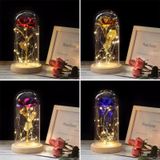 Simulation Roses Lights Glass Cover Decorations Crafts Valentines Day Gifts(Bright Color)