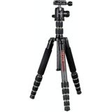 BEXIN BX255C K30 Portable Carbon Fiber Tripod for Camera Dslr