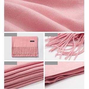 Autumn and Winter Season Classic Solid Color Imitation Cashmere Scarf  Size: 60 * 200cm(Light Pink)