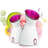 Hot And Cold Face Steamer Facial Moisturizing Spray Beauty Instrument CN Plug(Anther)