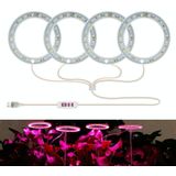 LED Plant Growth Lamp Full Spectroscopy Intelligent Timing Indoor Fill Light Ring Plant Lamp  Power: Four Head(Pink Light)