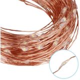 10m LED Copper Wire String Decoration Lights  USB Powered IP65 Waterproof  Festival Lamp with Switch(Warm White)