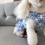 Pet Clothes Spring and Summer Cotton Small Dog Princess Pet Skirt  Size:S(Yellow Maple Leaf)