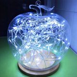 2m Water Resistant White Light  Silver Wire String Light  20 LEDs Knob Button Cell Battery Box Fairy Lamp Decorative Light