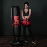 1.6m Fitness Vertical Inflatable Boxing Column Adult Inflatable Non-Tumbler Sandbag(Black Gloves (2093))