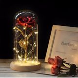 Simulation Roses Lights Glass Cover Decorations Crafts Valentines Day Gifts(Red)