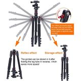 TRIOPO K2508S+B1S Adjustable Portable  Aluminum Aalloy Tripod with Ball Head for SLR Camera (Gold)