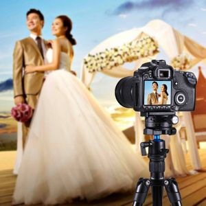 PULUZ Aluminum Alloy 360 Degree Rotation Panorama Ball Head with Quick Release Plate for Camera Tripod Head