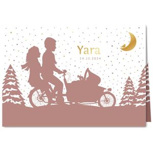 Origineel geboortekaartje meisje bakfiets in de winter