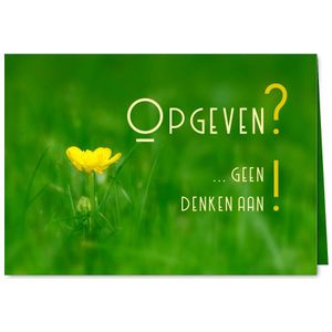 opgeven - geen denken aan