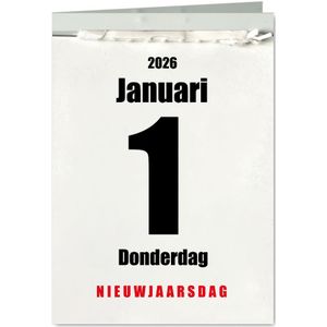 Nieuwjaarskaart scheurkalender 'Time flies'