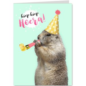 Verjaardagskaart marmot met feesthoedje en toeter