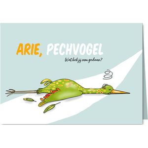 Beterschap - wat een pechvogel