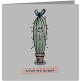 Grappige zomaar-kaart met cactus om een compliment te geven