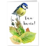 Van harte! met een pimpelmeesje