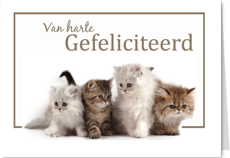 Van harte Gefeliciteerd met katten