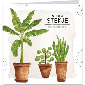 Felicitatiekaart nieuwe woning met groene kamerplanten