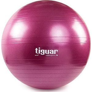 Tiguar bal voor ćwiczeń Body Ball veiligheid Plus 65cm paars